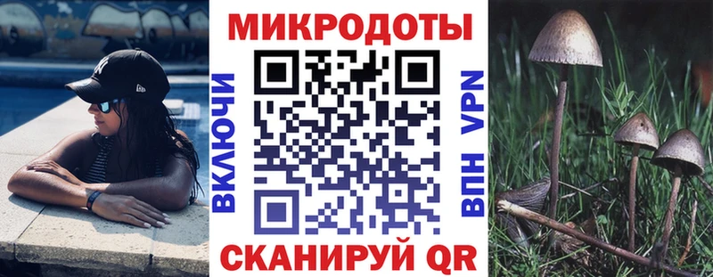 Псилоцибиновые грибы прущие грибы  Купить закладки  Североморск 